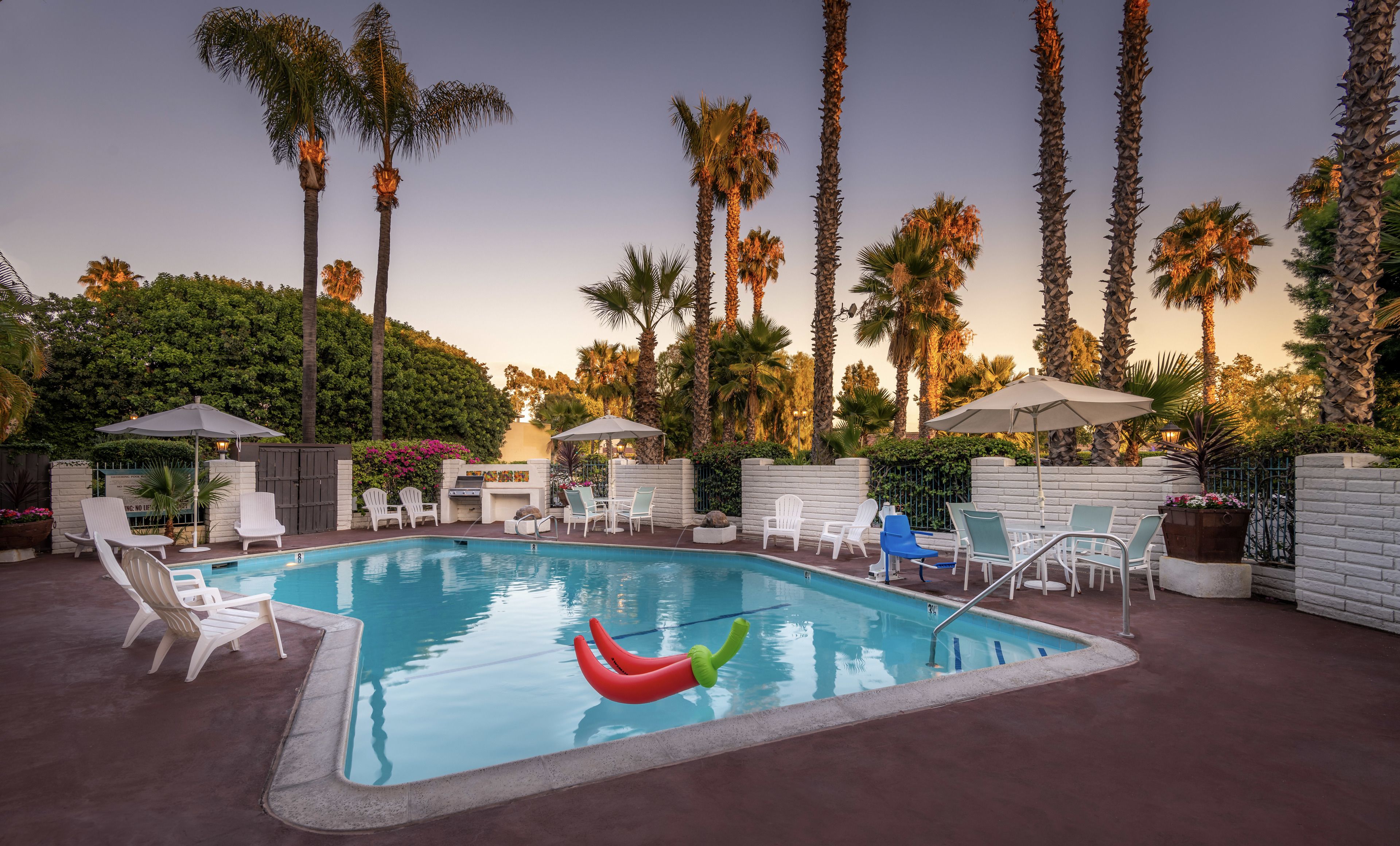 야외 수영장, 10:00 ~ 21:00 오픈, 수영장 파라솔, 일광욕 의자