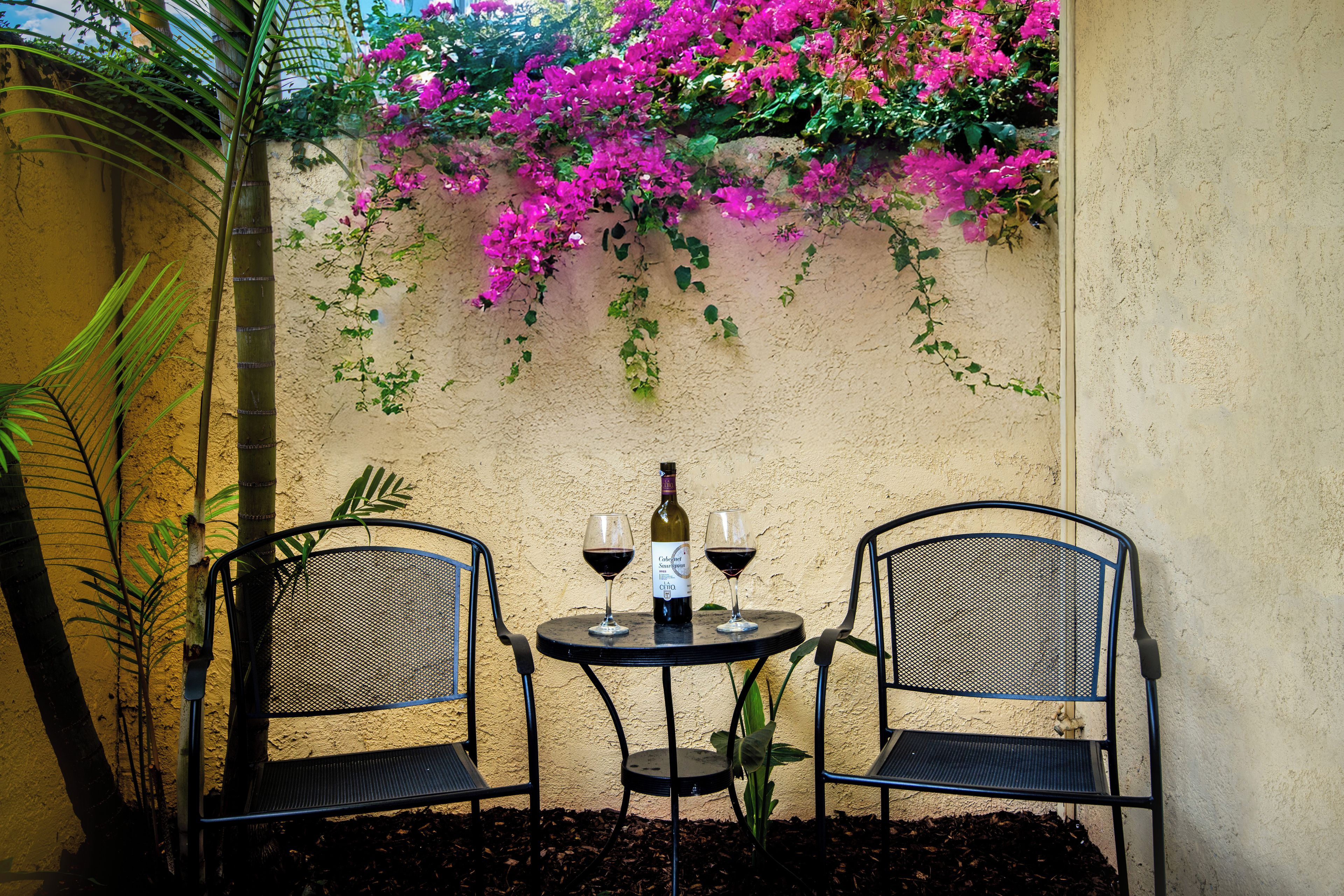 A table with two chairs, a bottle of wine, and a glass of wine, set against a wall with flowering plants.