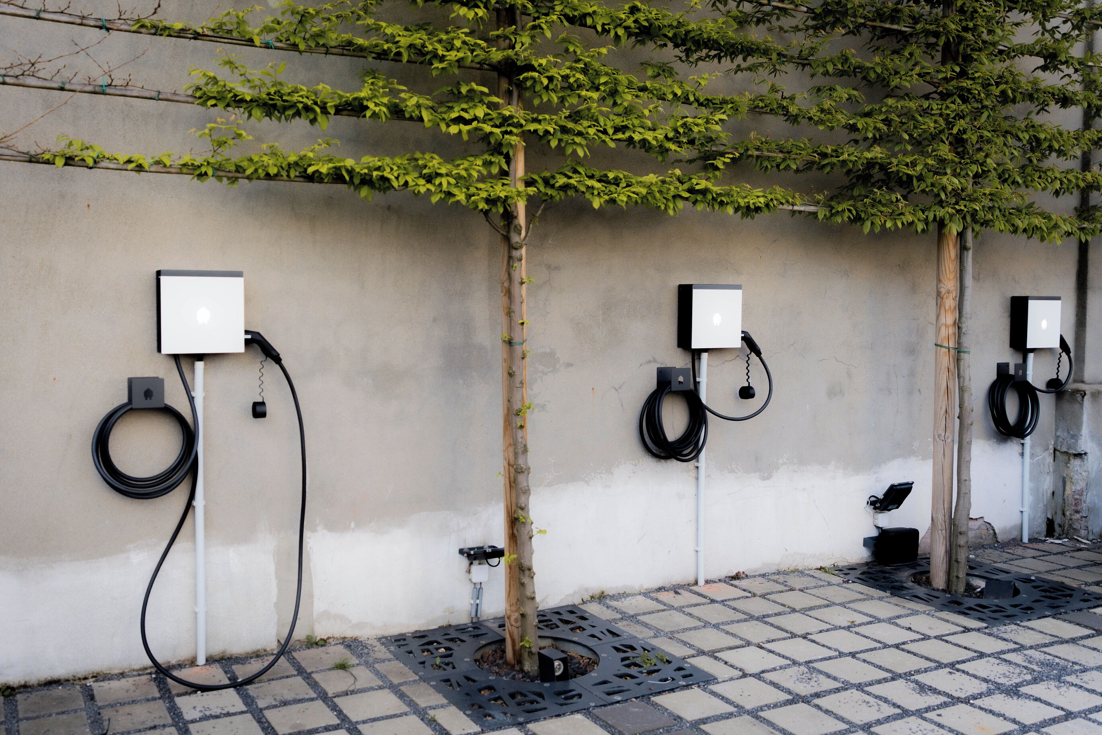 Foto - Golden Tree Hotel