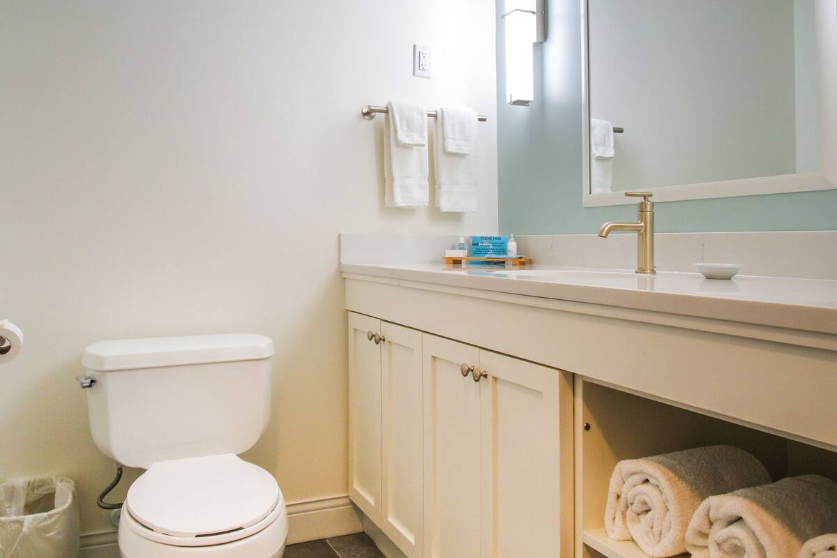 combined shower/bathtub, free toiletries, hair dryer, towels