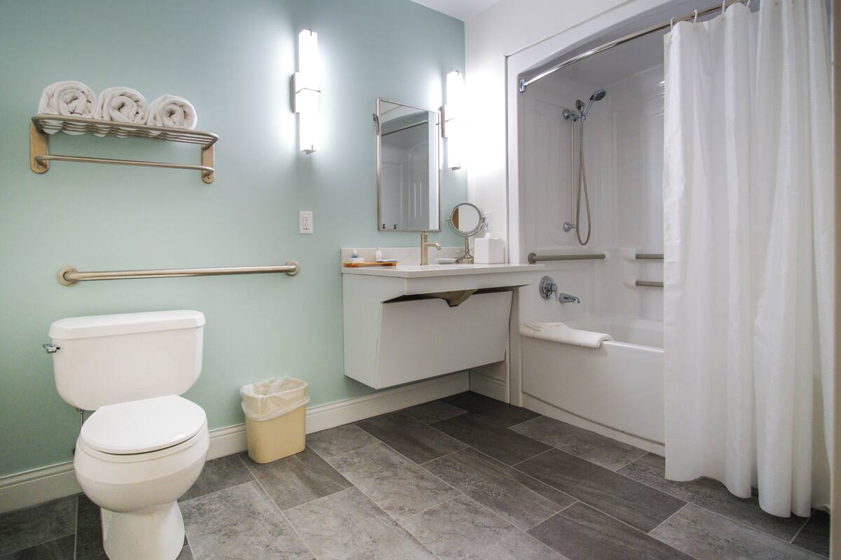 standard room, 1 queen bed, mobility accessible | bathroom | combined shower/bathtub, free toiletries, hair dryer, towels