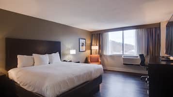 King Room 1 | Living area | 49-inch flat-screen TV with satellite channels, TV