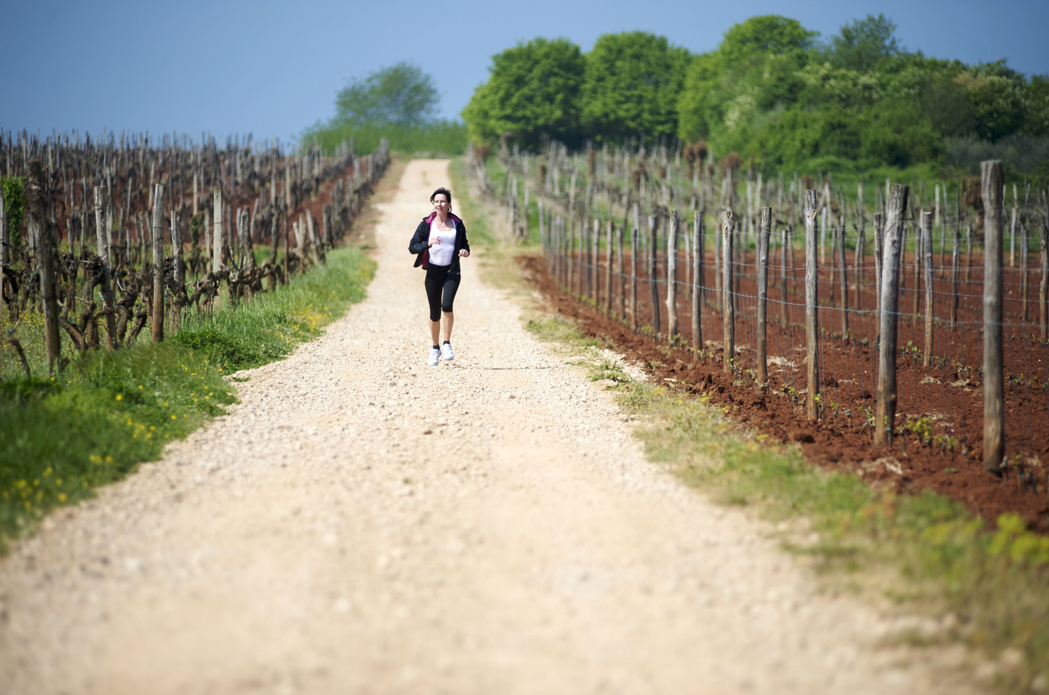 Foto - Skiper Apartments & Golf Resort