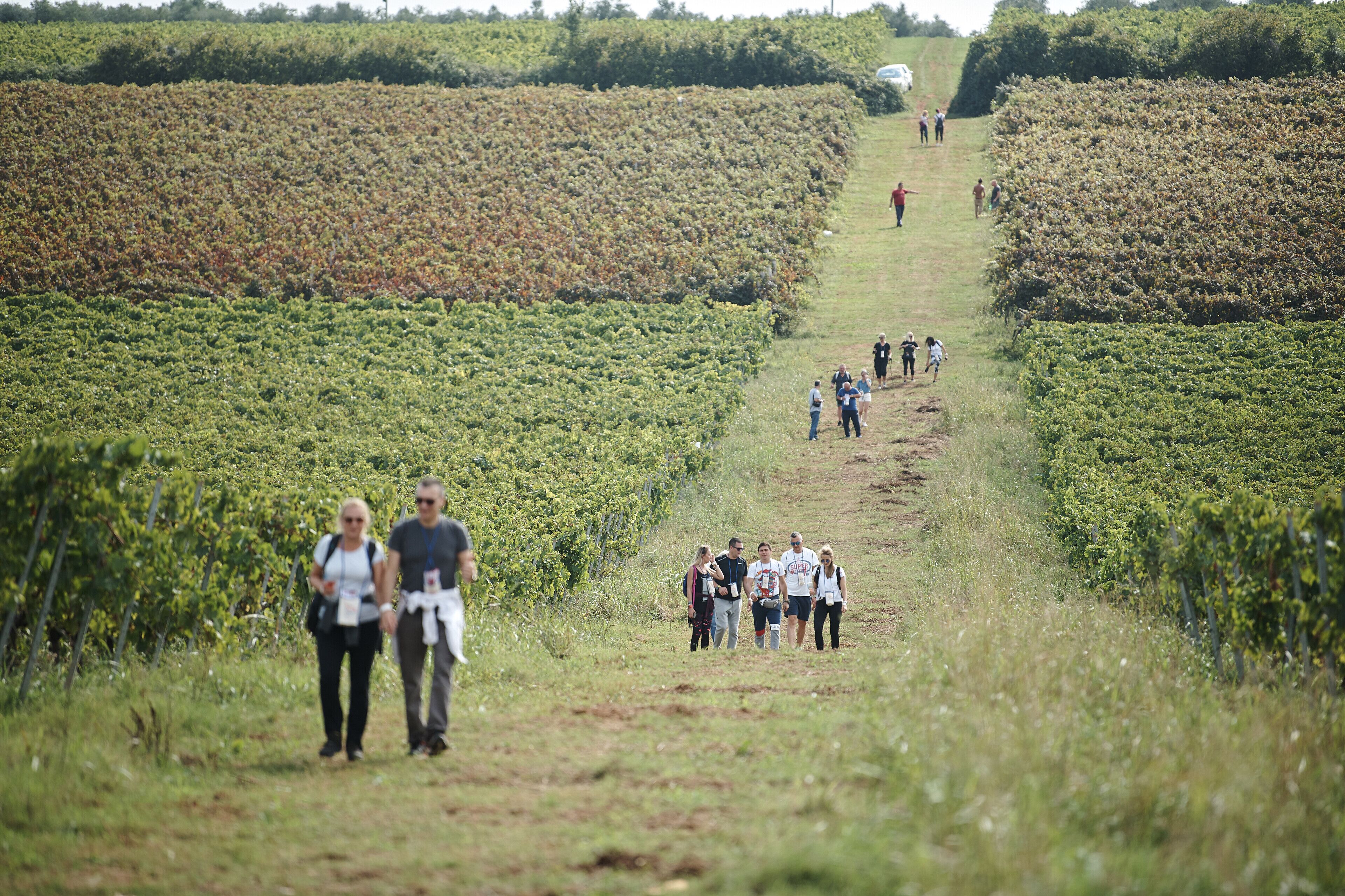 Foto - Skiper Apartments & Golf Resort