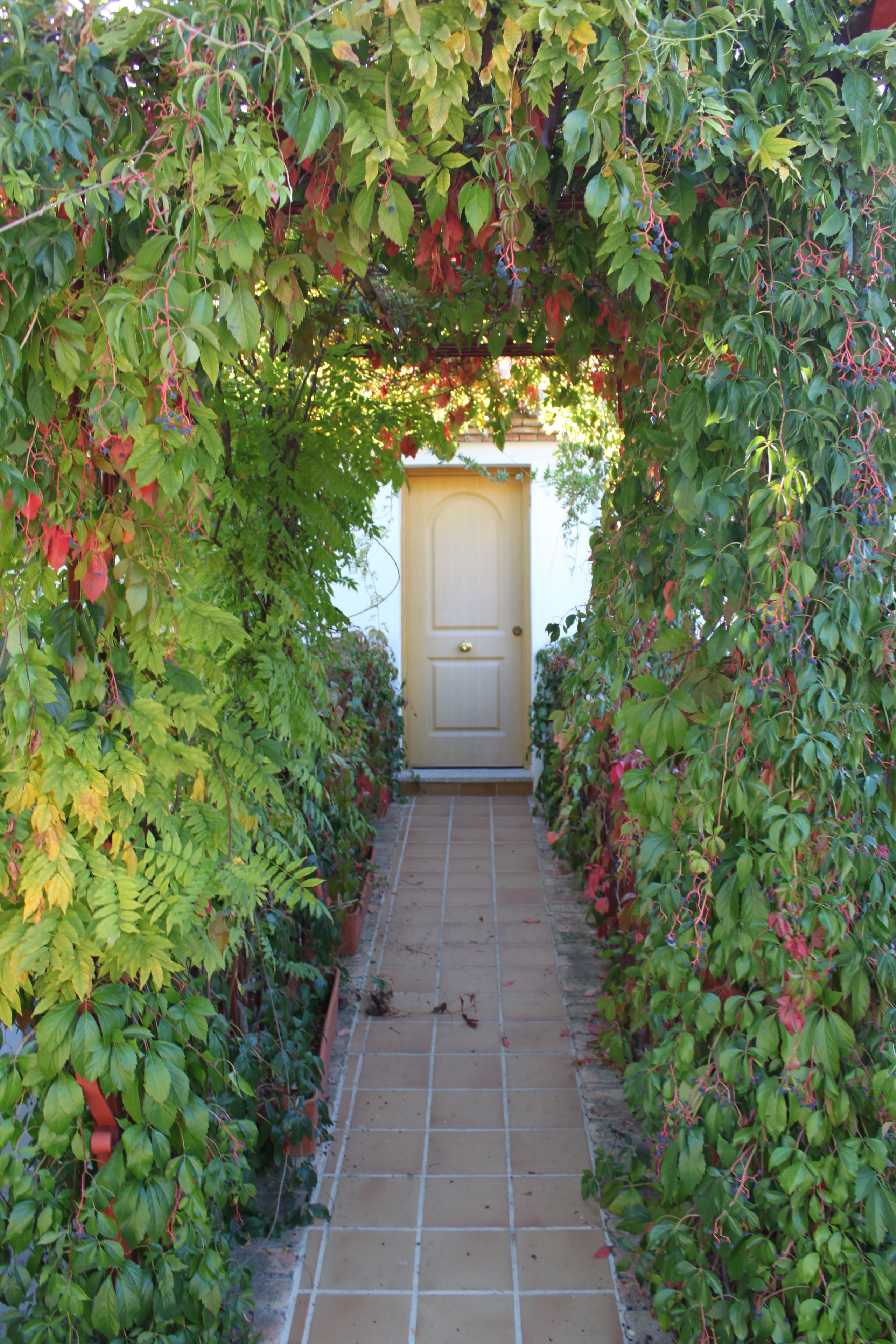 Foto - Hotel Rural Puerto Mágina