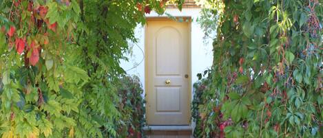 A narrow pathway flanked by lush greenery leading to a door.