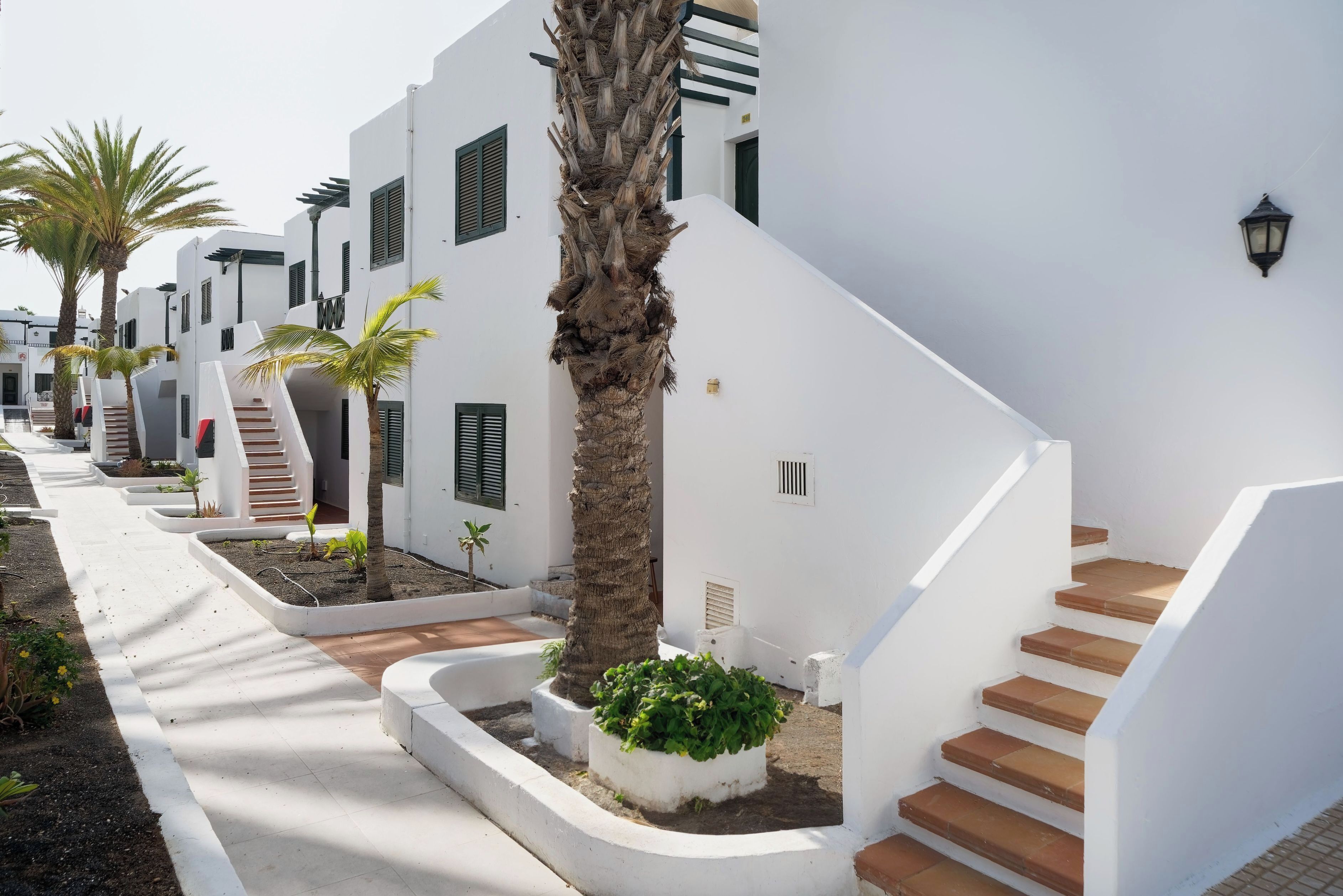 Un bâtiment blanc avec un escalier, des palmiers et un petit jardin.