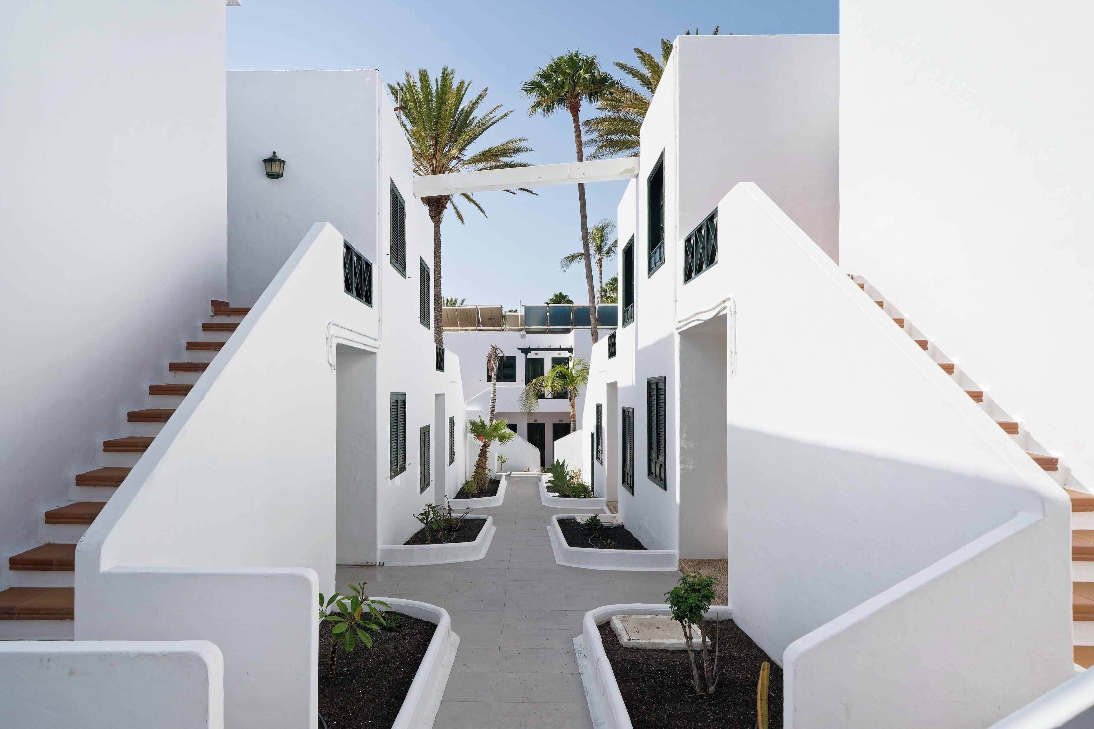 Une cour étroite aux murs blancs, avec un chemin central bordé de petits jardinières et de palmiers, qui mène à un escalier.