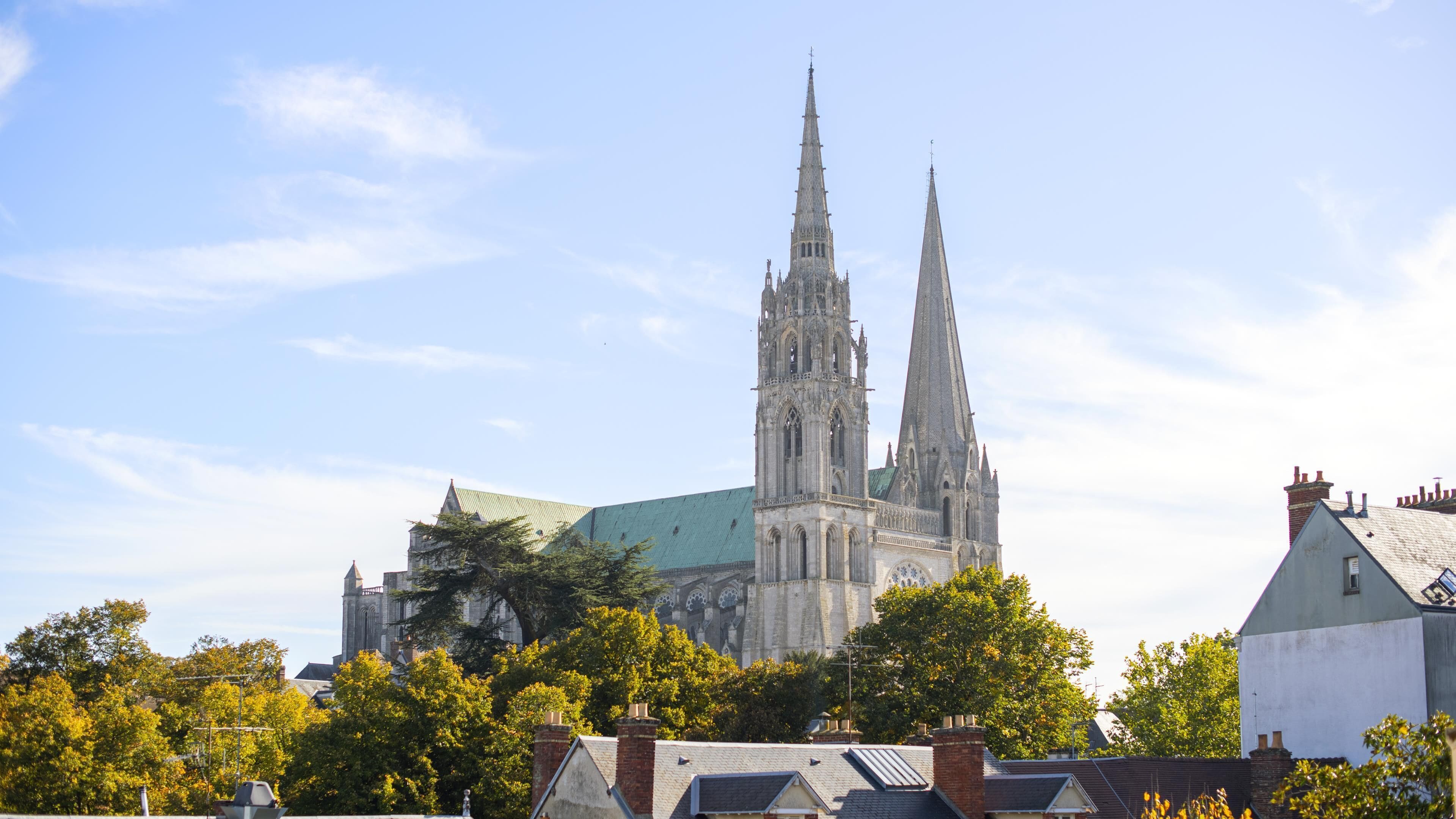 A historic cathedral with twin spires, surrounded by trees and residential buildings.