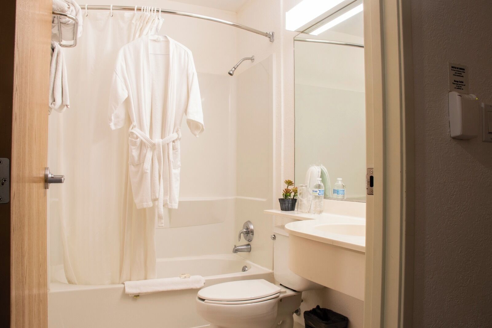 standard suite, 1 queen bed with sofa bed | bathroom | free toiletries, towels