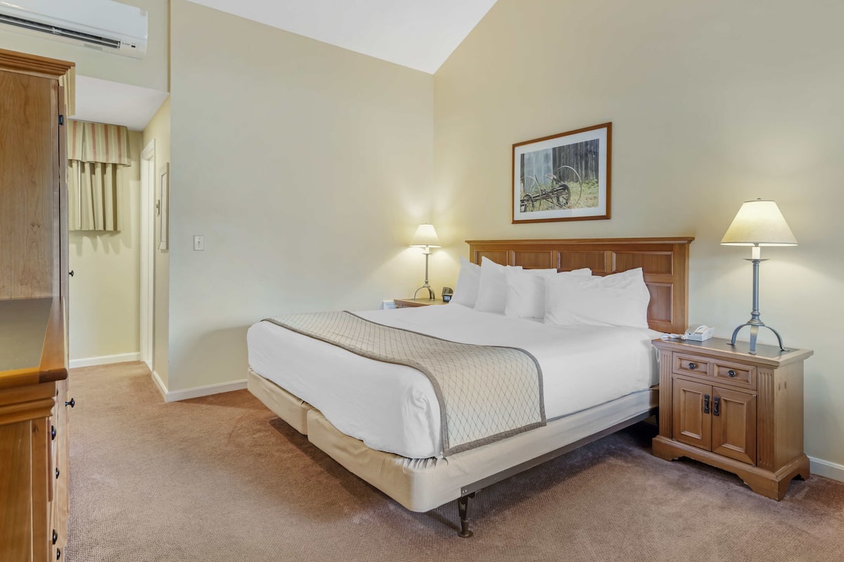 Room, 1 King Bed | Individually decorated, individually furnished, desk, iron/ironing board