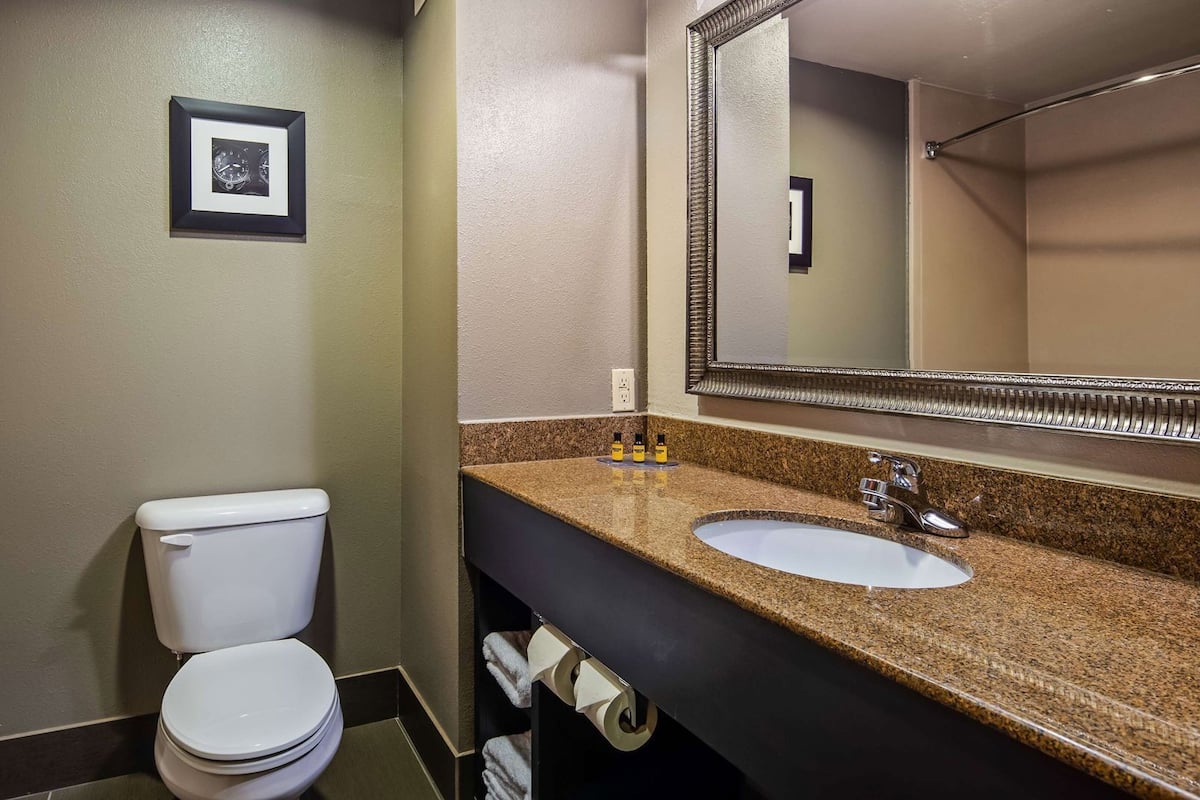 A bathroom with a toilet, sink, mirror, and a framed picture on the wall.