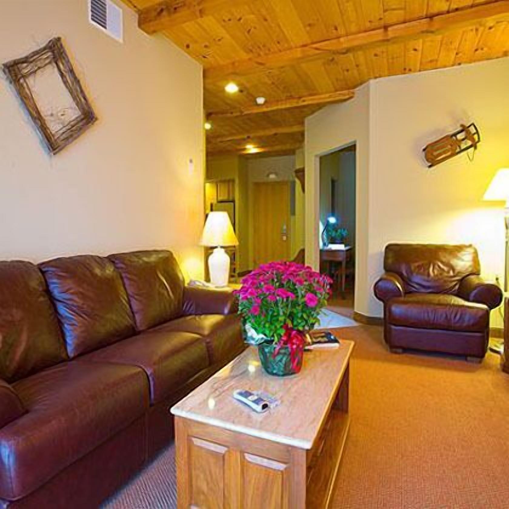 Télévision de 27 pouces avec chaînes par câble, cheminée, lecteur de DVD