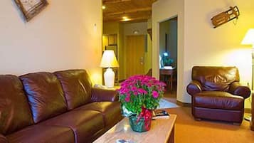 27-inch TV with cable channels, fireplace, DVD player