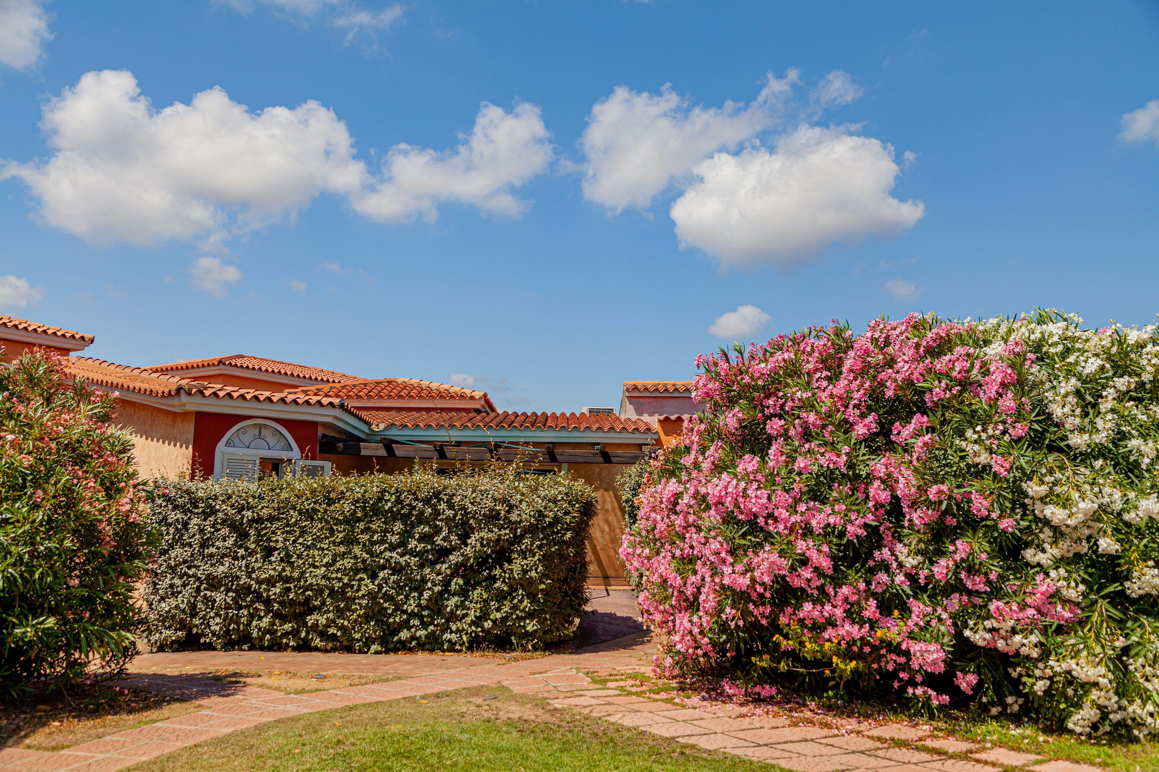 Photo - Residence Hotel Lu Nibareddu