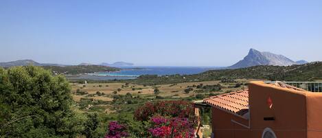 Un paysage côtier offrant une vue sur la mer et les montagnes, un bâtiment en terre cuite avec un toit de tuiles et une végétation luxuriante.