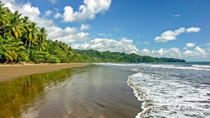 Een strand met een zandstrand, palmbomen en golven.