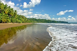 靠近海滩、免费海滩班车