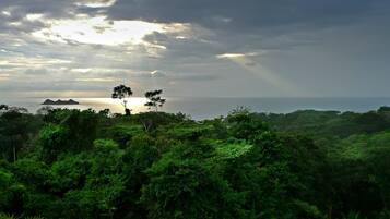 A lush green landscape with dense foliage and a view of the ocean under a cloudy sky.