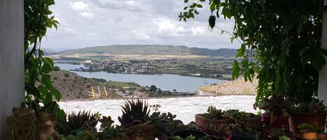 Un balcón con vistas a un lago y al paisaje circundante, con diversas plantas en macetas y una escultura.