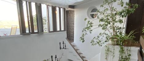 Um interior amplo com uma escadaria central, várias janelas e diversos vasos de plantas.