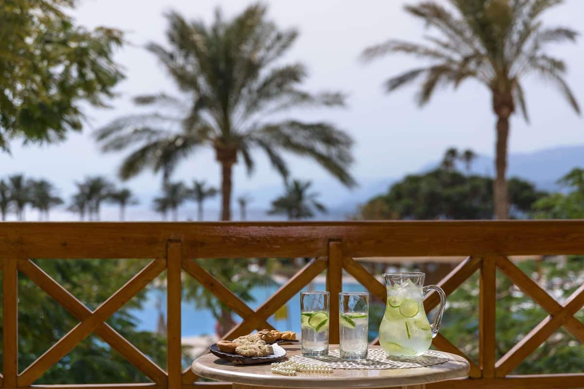 A table with snacks and drinks, overlooking palm trees and a body of water.