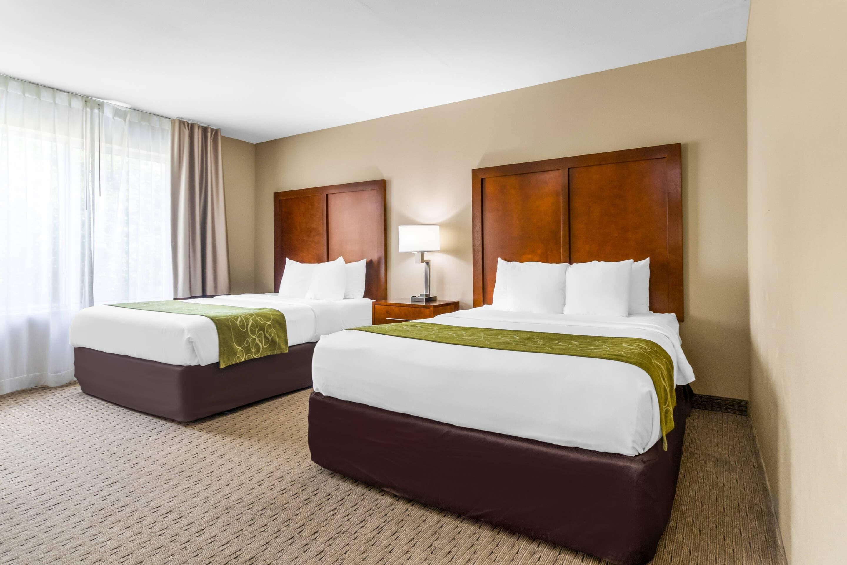 Una habitación de hotel con dos camas, una mesita de noche con lámpara y una ventana con cortinas.