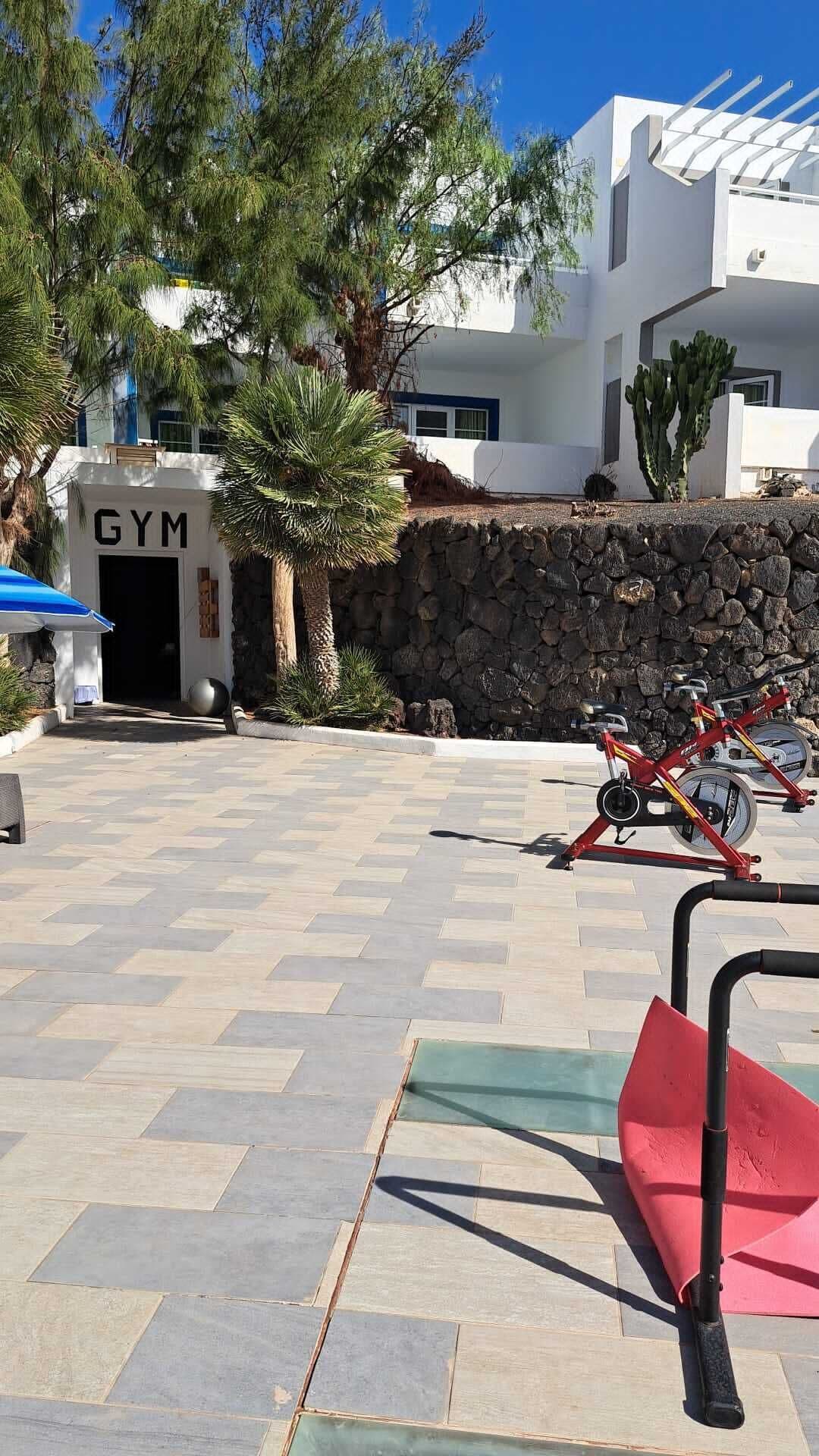 A gym entrance with a stone wall, a cactus, and two stationary bikes.