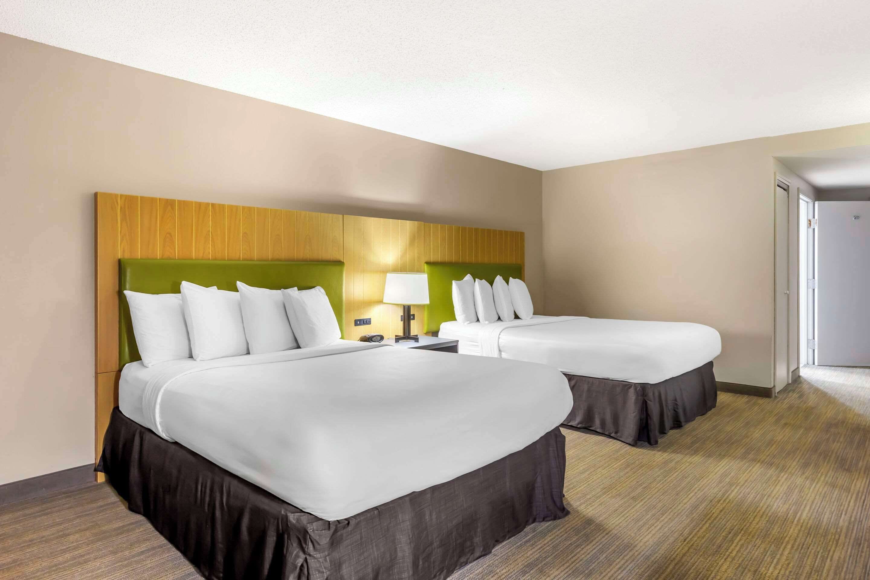 Une chambre d’hôtel avec deux lits, une tête de lit en bois, une table de chevet avec une lampe et un sol recouvert de moquette.
