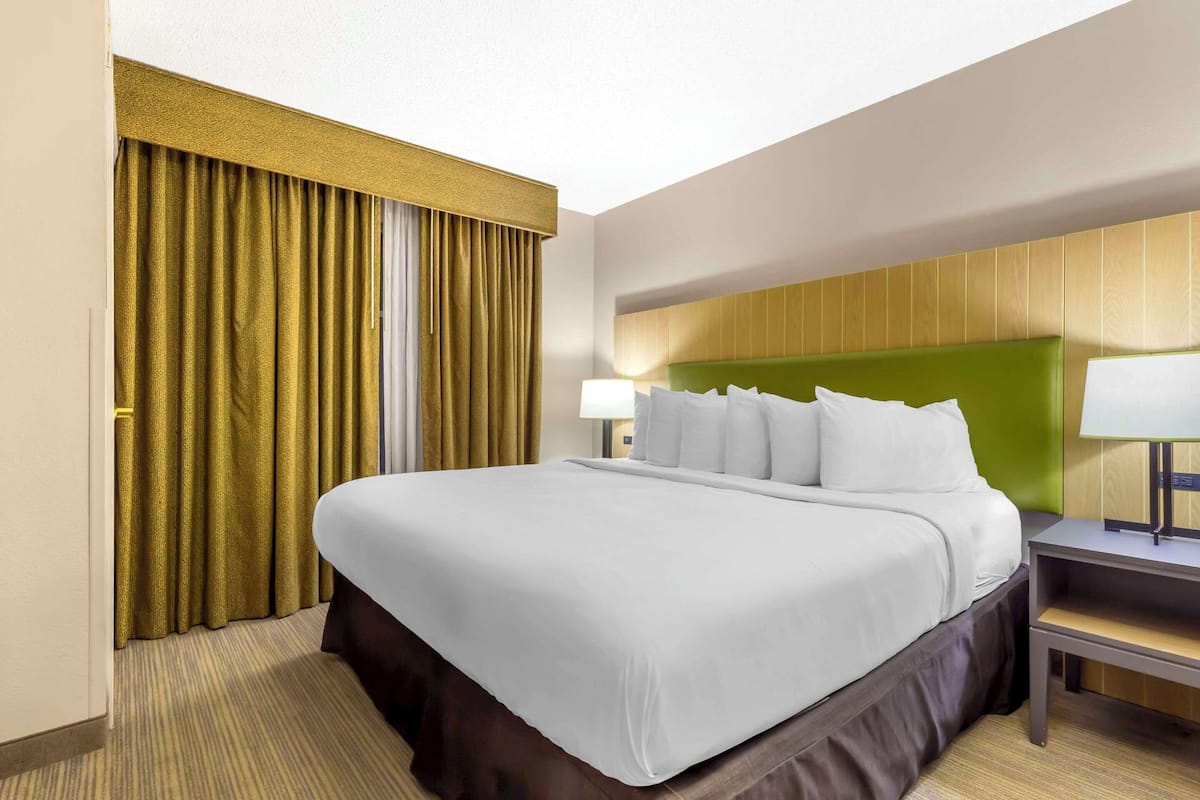 Una habitación de hotel con una cama grande, una mesita de noche, una lámpara y un cabecero verde.