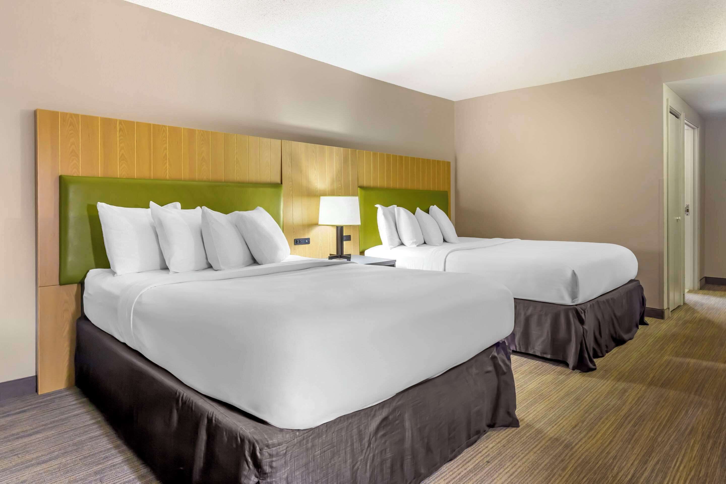 Habitación de hotel con dos camas, un cabecero de madera, una lámpara y suelo cubierto de alfombra.