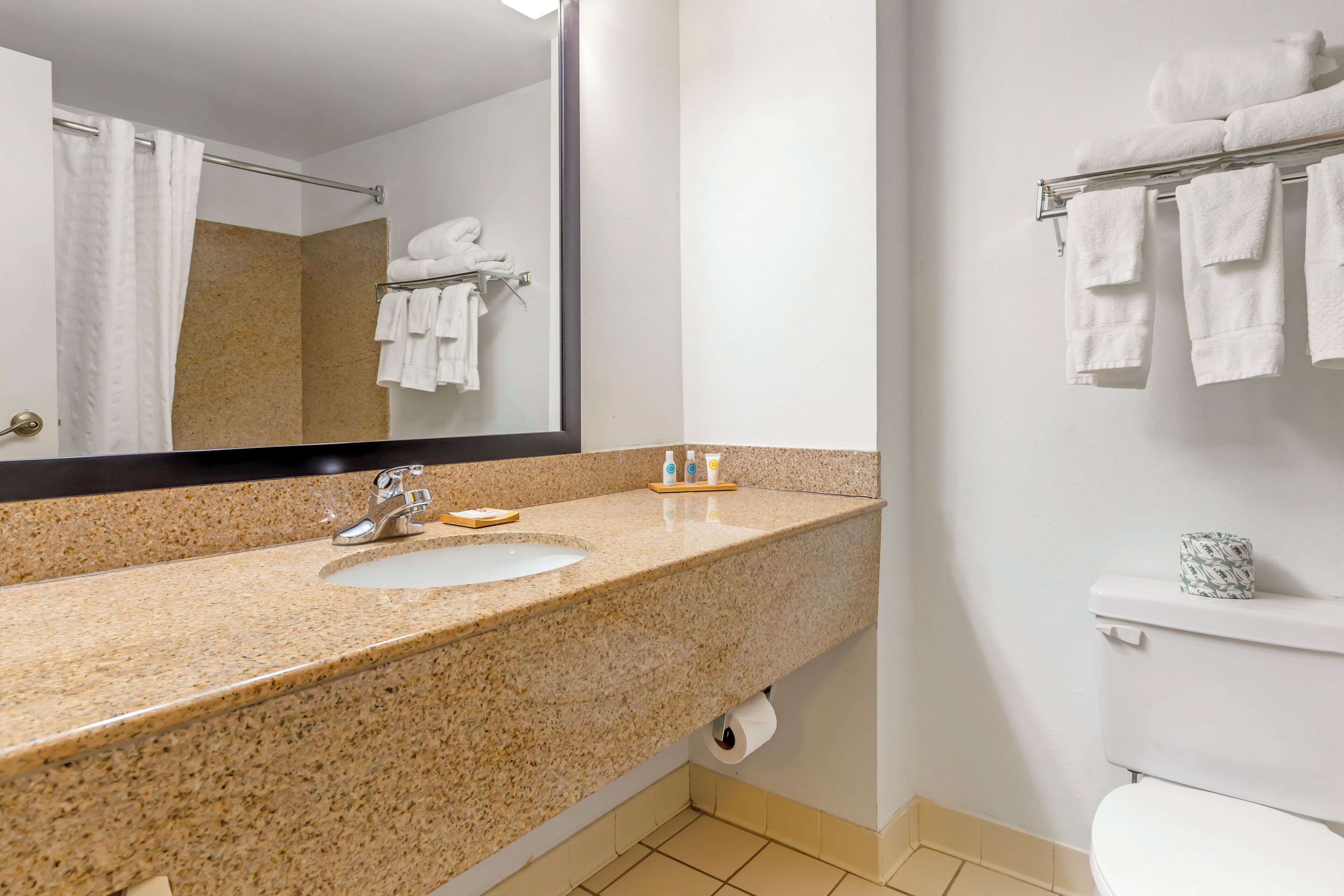 Une salle de bain avec un lavabo surmonté d’un plan de travail en granit, un miroir, un porte-serviettes et des toilettes.