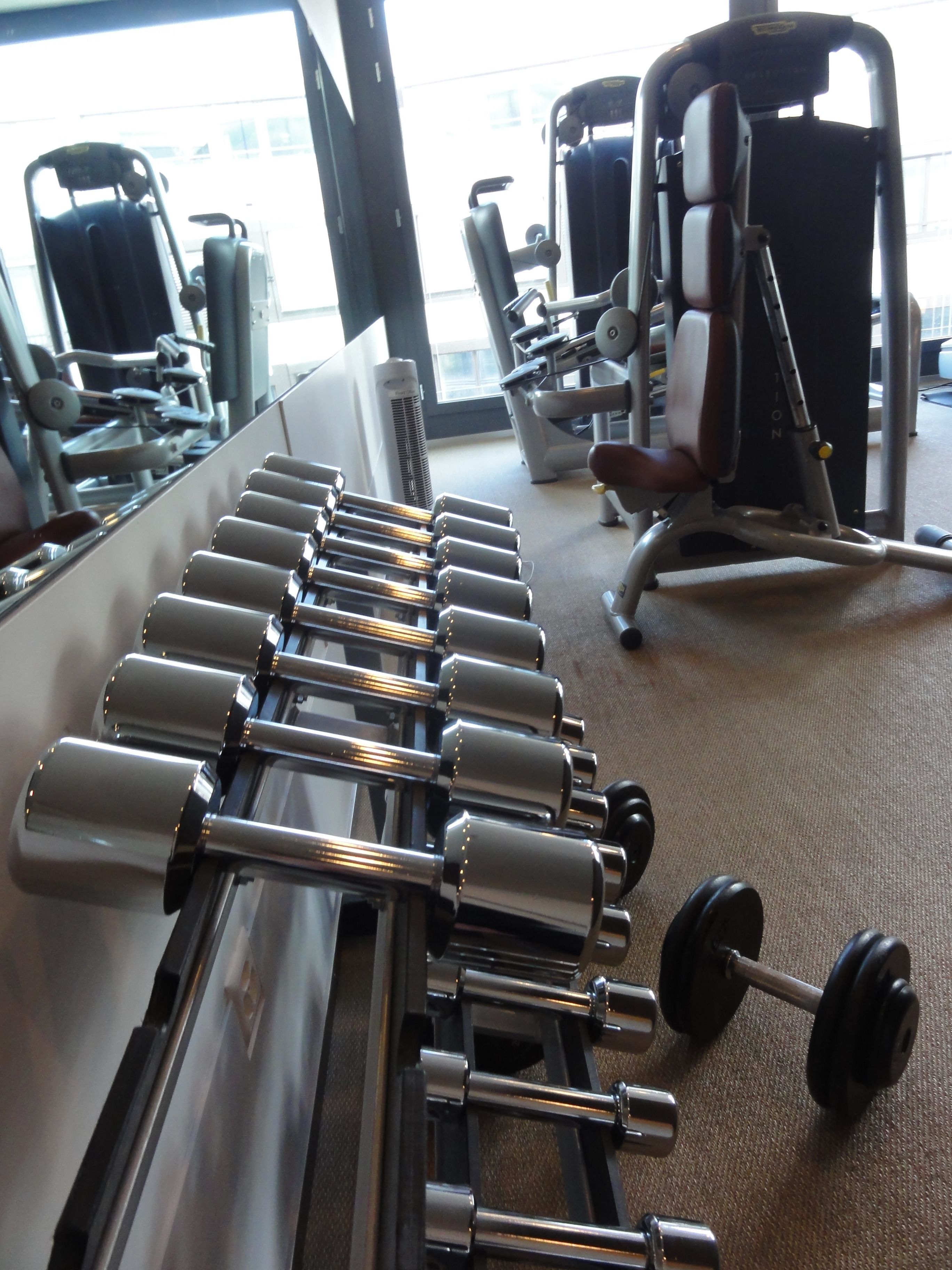 A row of dumbbells with weights on a rack in a gym.