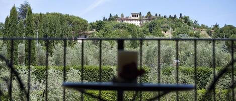 A view of a villa surrounded by lush greenery and a metal fence.