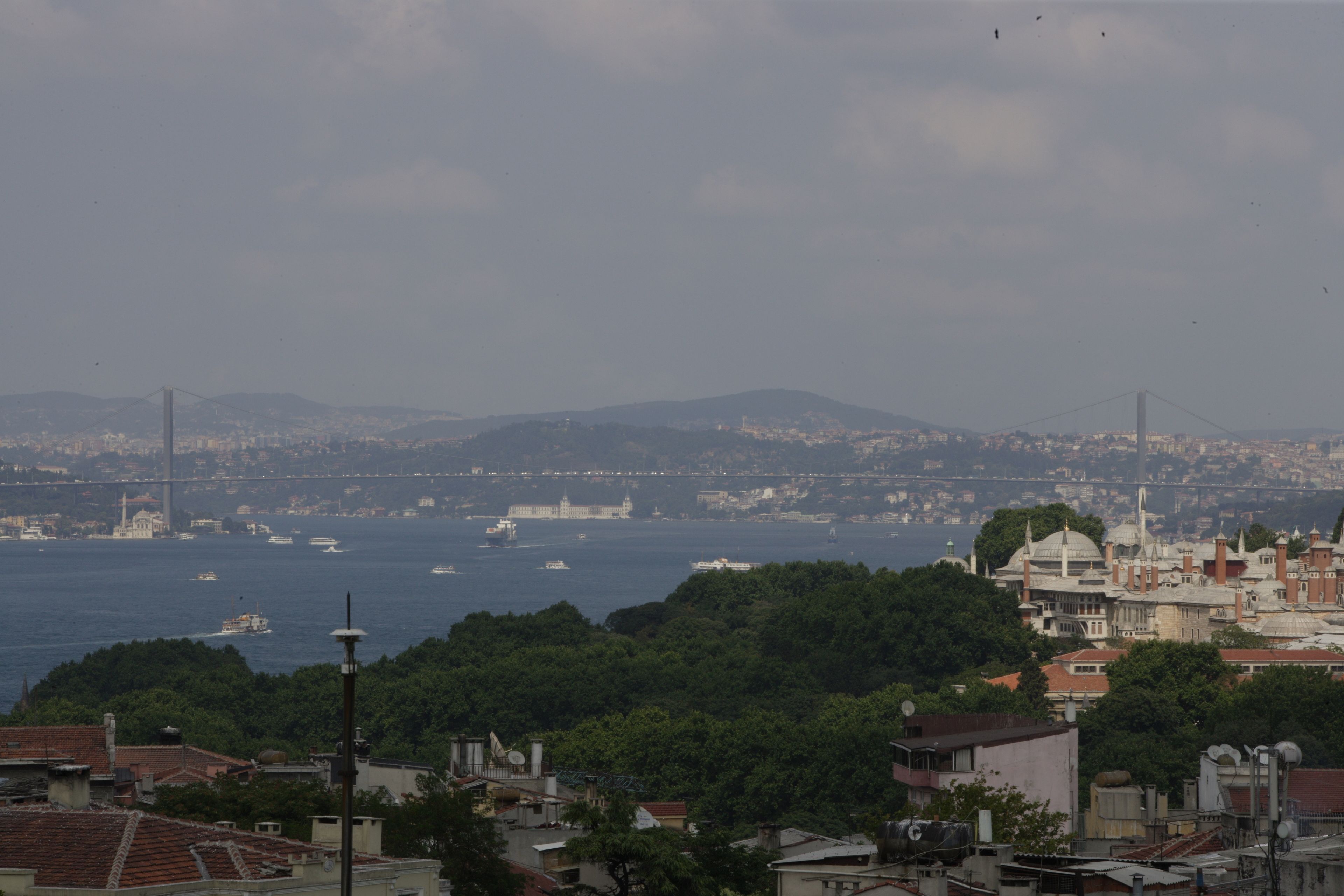 A coastal cityscape with a prominent bridge, dense greenery, and a variety of buildings.