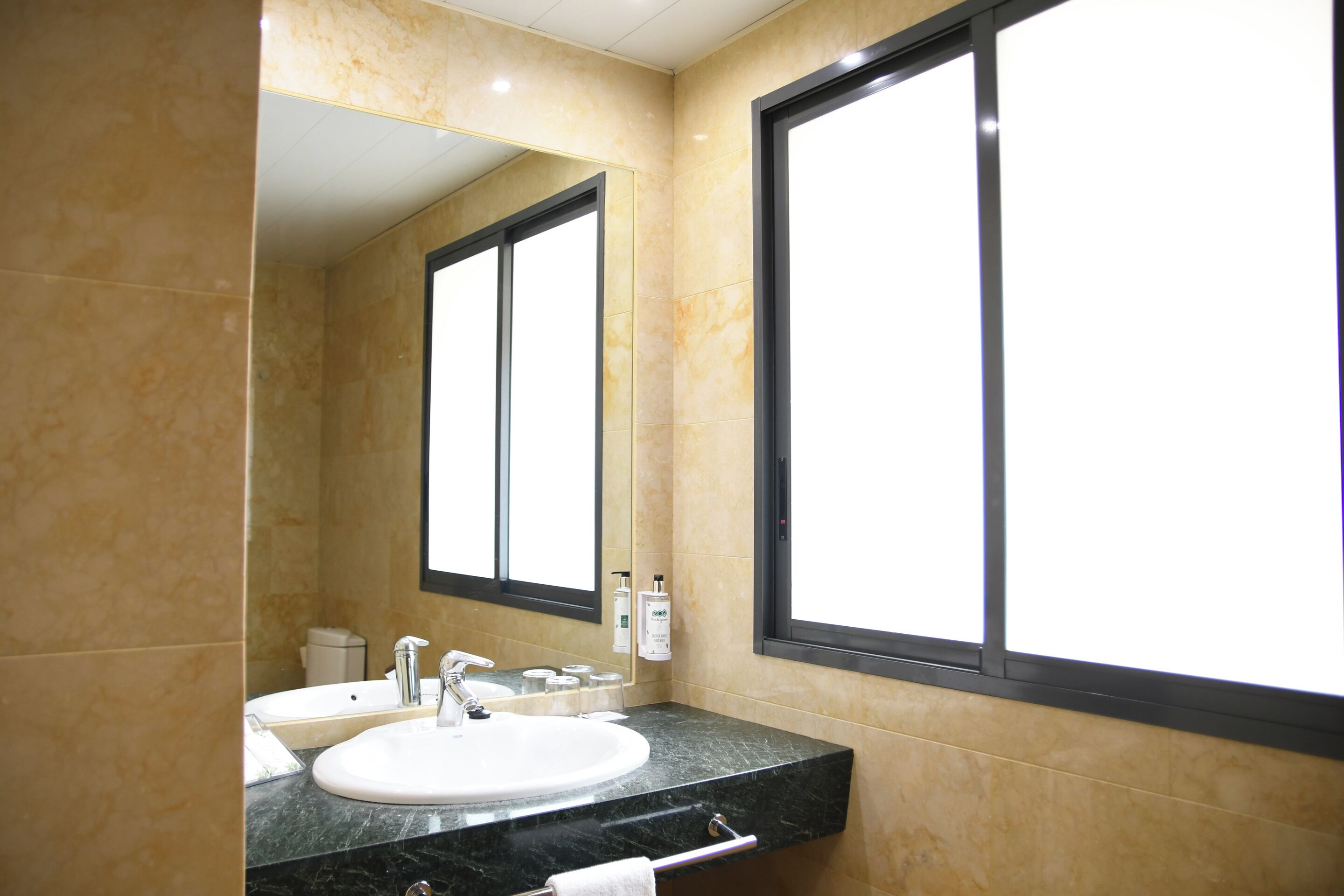 bathtub, free toiletries, hair dryer, bidet