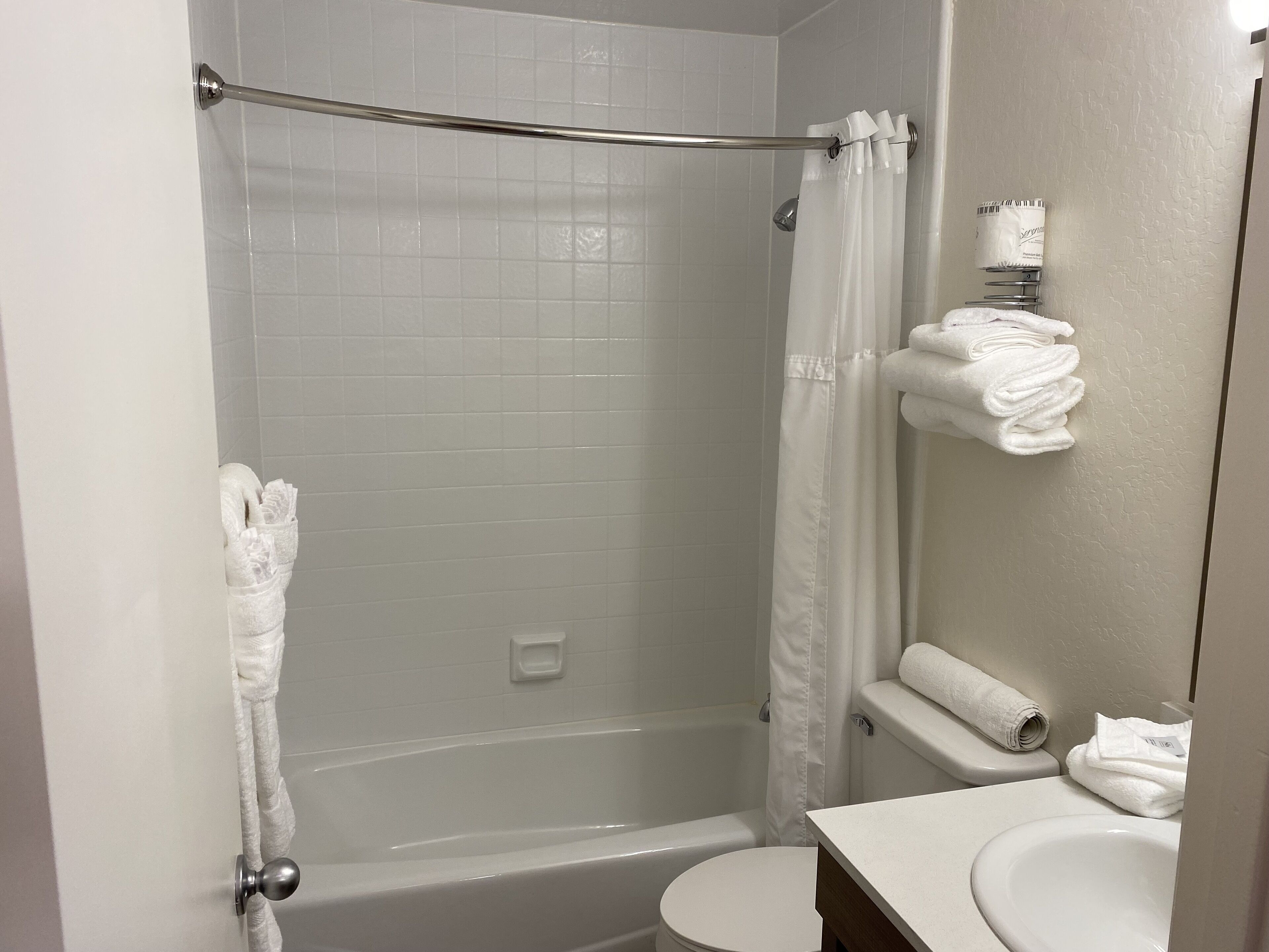 Une salle de bain avec douche, toilettes et lavabo.
