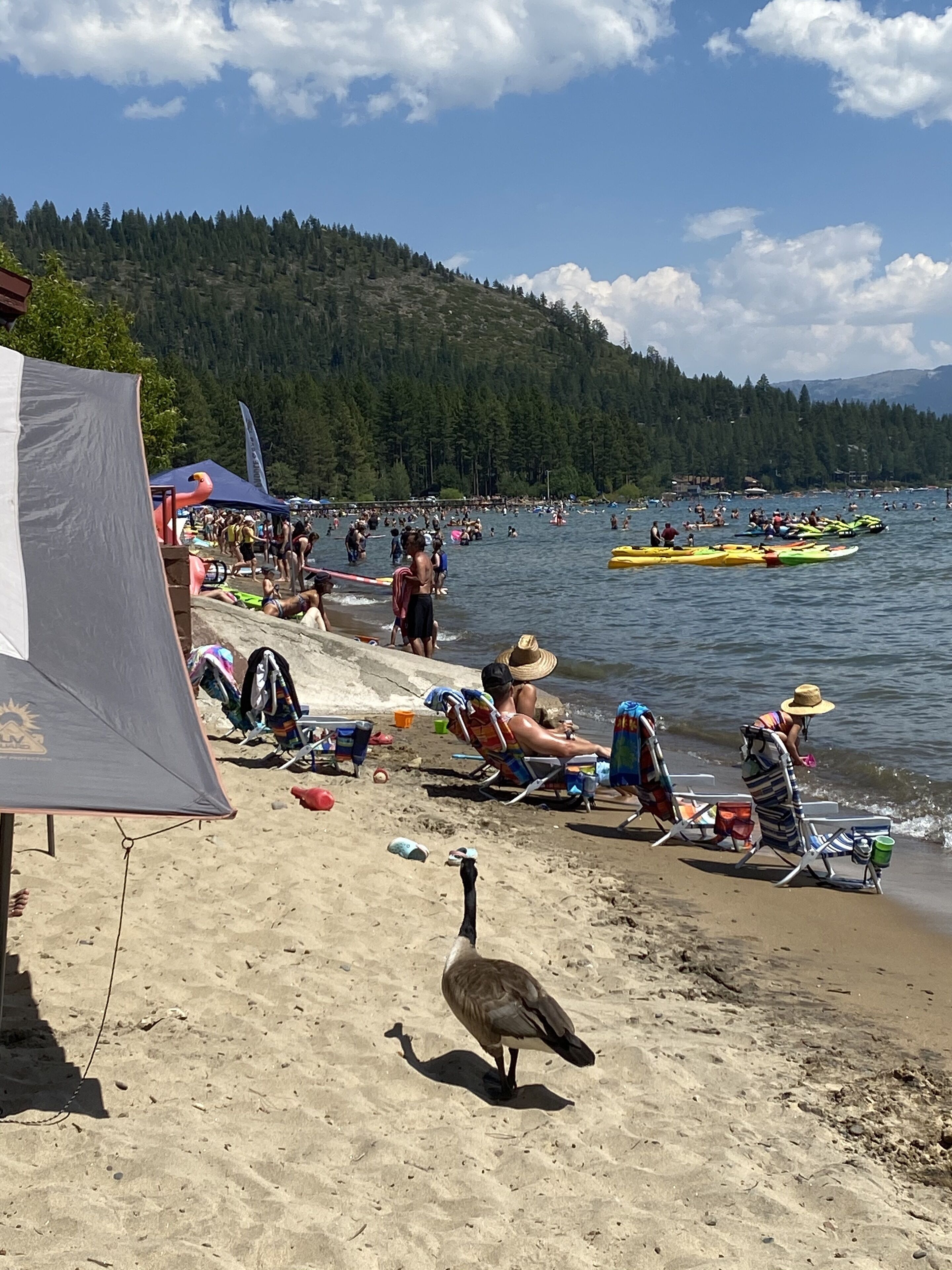 A beach scene with people, kayaks, and a tent.