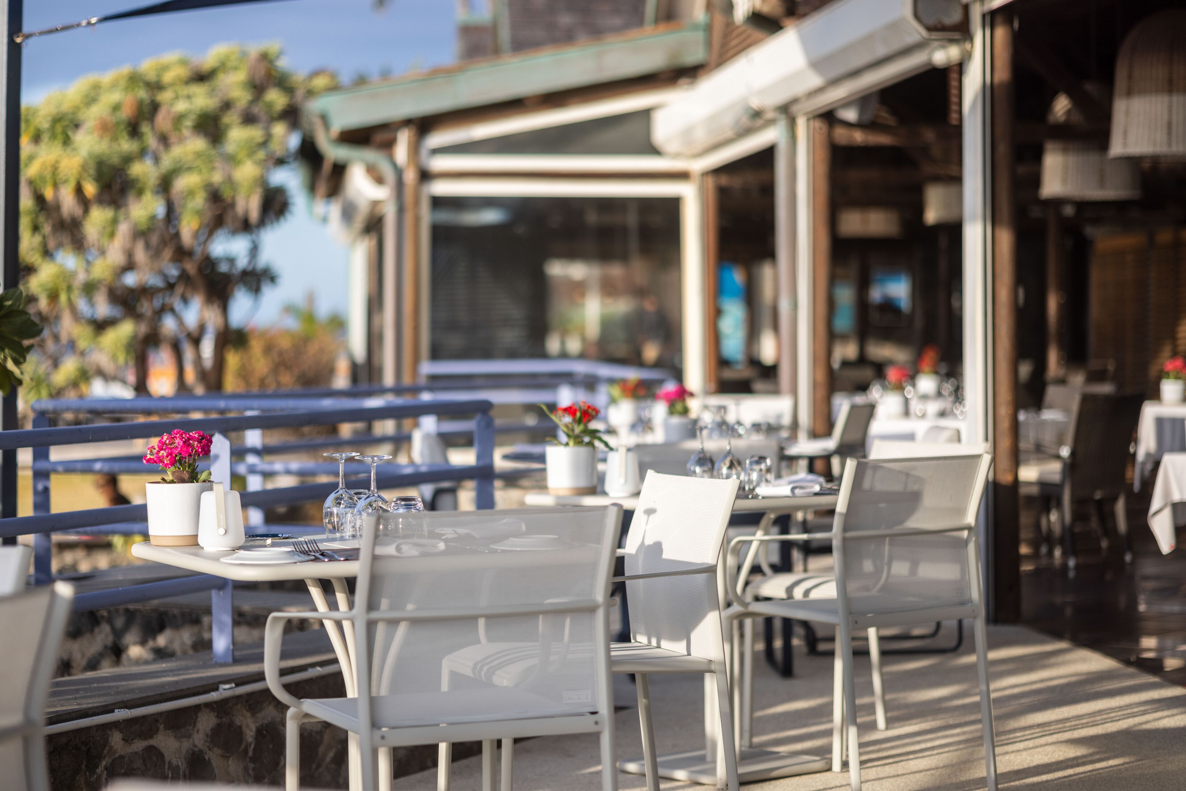 An outdoor dining area with tables and chairs, potted plants, and a view of the street.