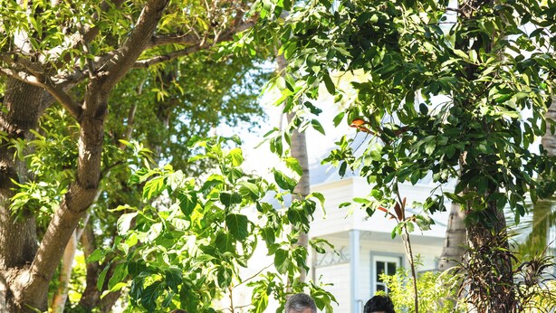 A group of people standing outdoors near a building with a grassy area and trees. - Hôtel Exsel Alamanda (Saint-Paul)