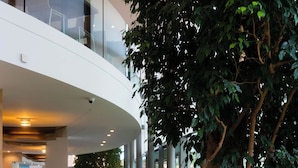 Un vestíbulo amplio con un gran árbol, zona de estar y arquitectura moderna.