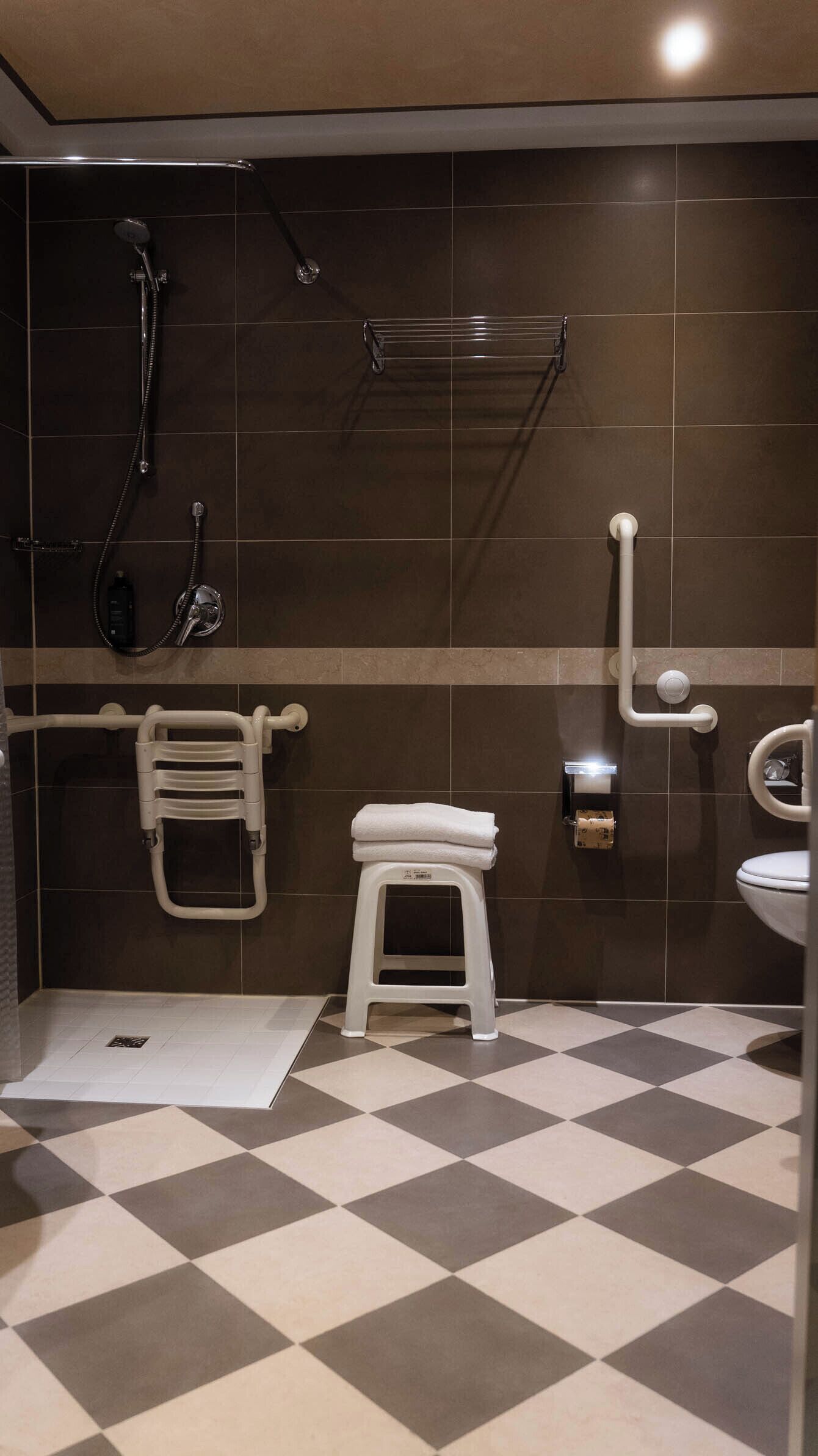 Ein modernes Badezimmer mit Dusche, Toilette und Haltegriffen.