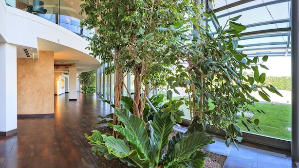 Un espacio interior moderno con techo curvo, ventanas amplias y plantas de interior.