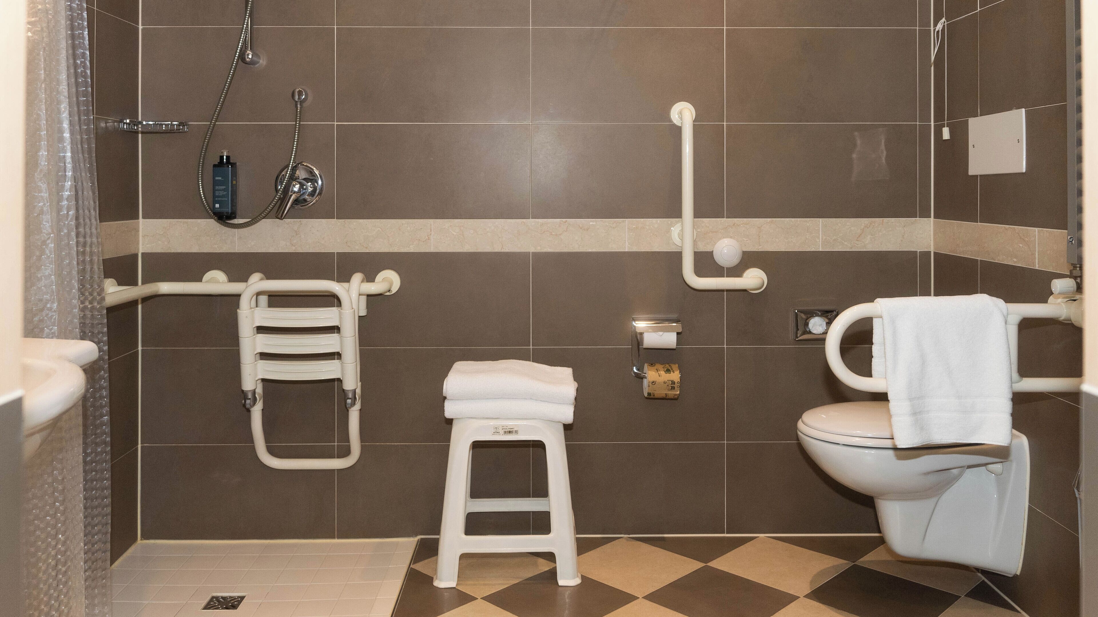 A bathroom with a toilet, a shower, a grab bar, and a step stool.