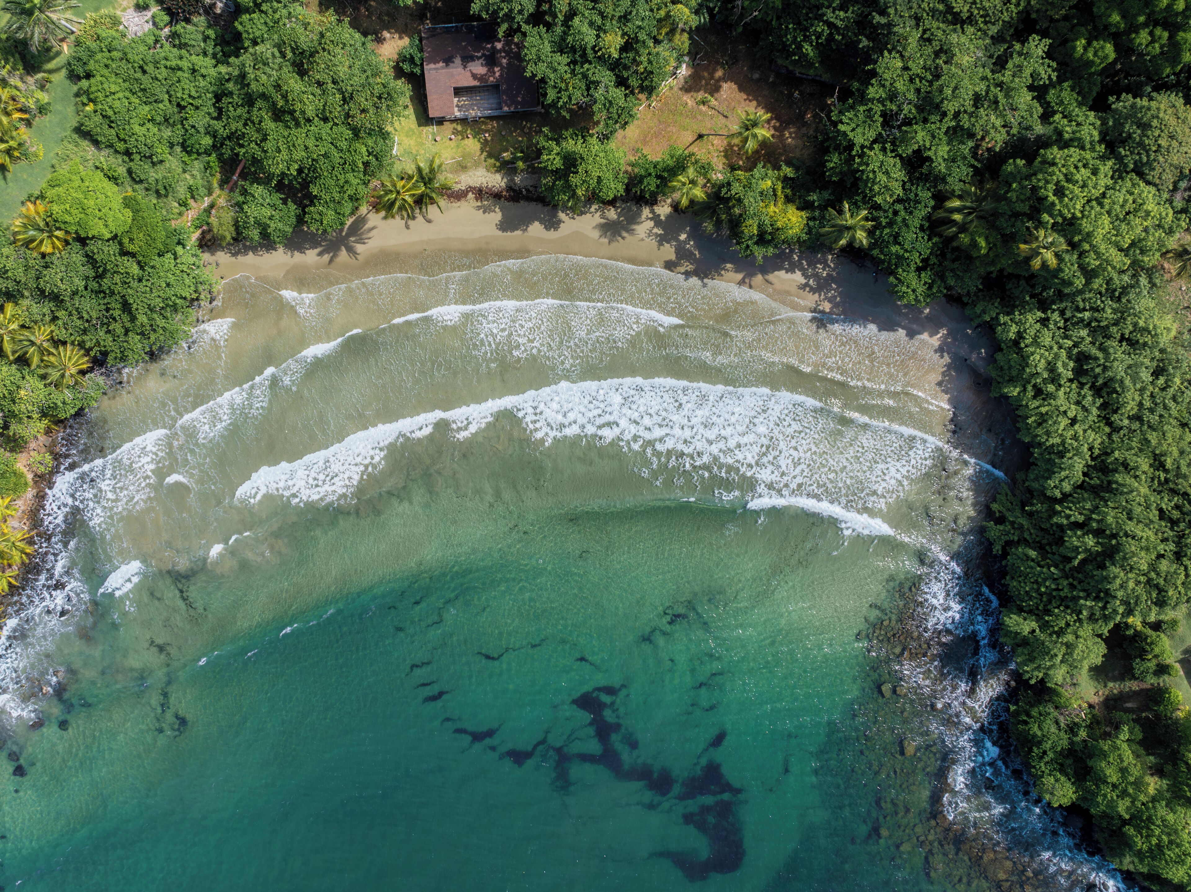 Vue aérienne d’une propriété côtière avec une plage, des eaux cristallines et une végétation luxuriante.