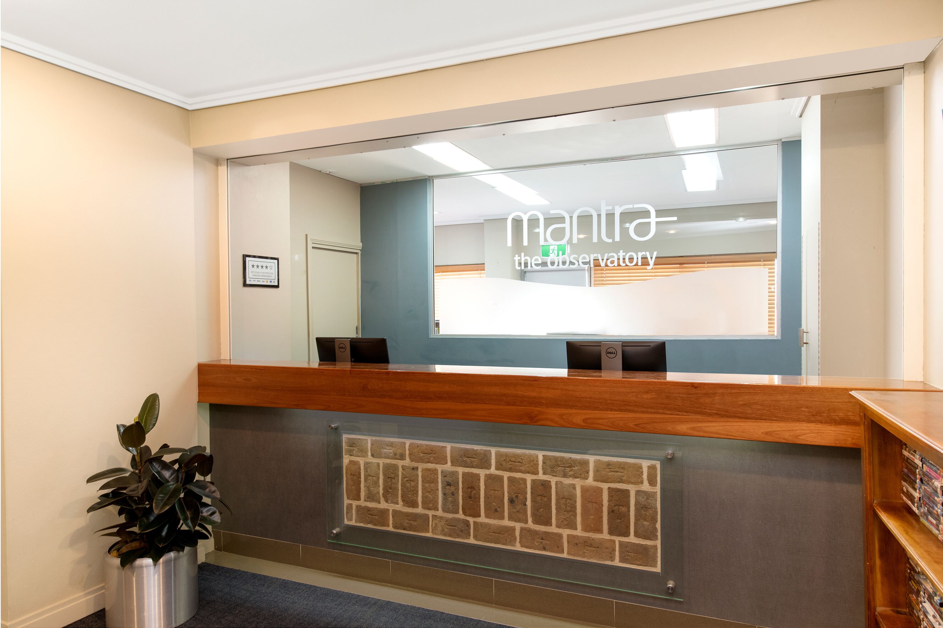 A reception desk with a mirror reflecting the interior, a potted plant, and a framed certificate on the wall.