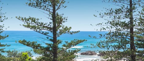 A coastal view with pine trees framing the beach and ocean.