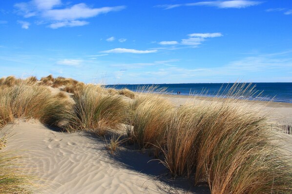 Playa en los alrededores, playa de arena blanca y windsurf