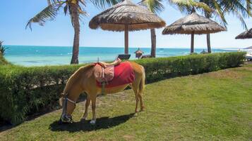 A horse with a saddle and blanket near a beach with palm trees and thatched umbrellas.