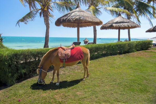 Children's activities - Victoria Phan Thiet Beach Resort & Spa (Phan Thiet)